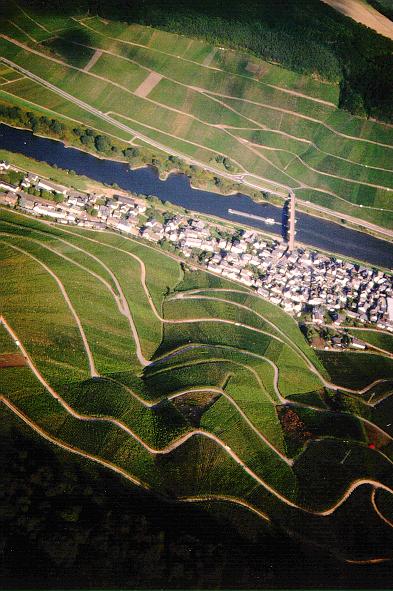 Reil (Mosel) am späten Nachmittag